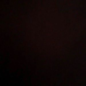 Meet your Posher, Daisy